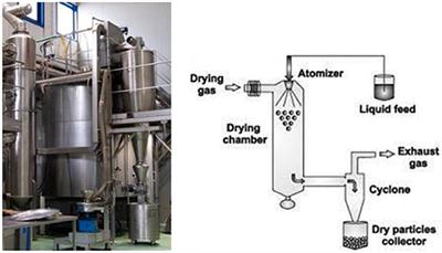 Qualitative and Quantitative Analysis of Phenolic Compounds in Spray-Dried Olive Mill Wastewater